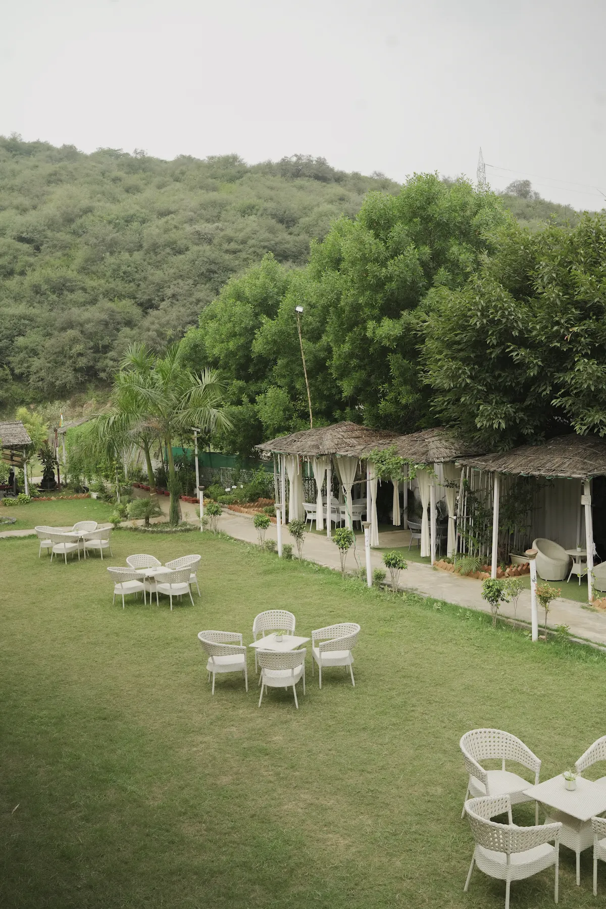 The GreenHouse Cafe