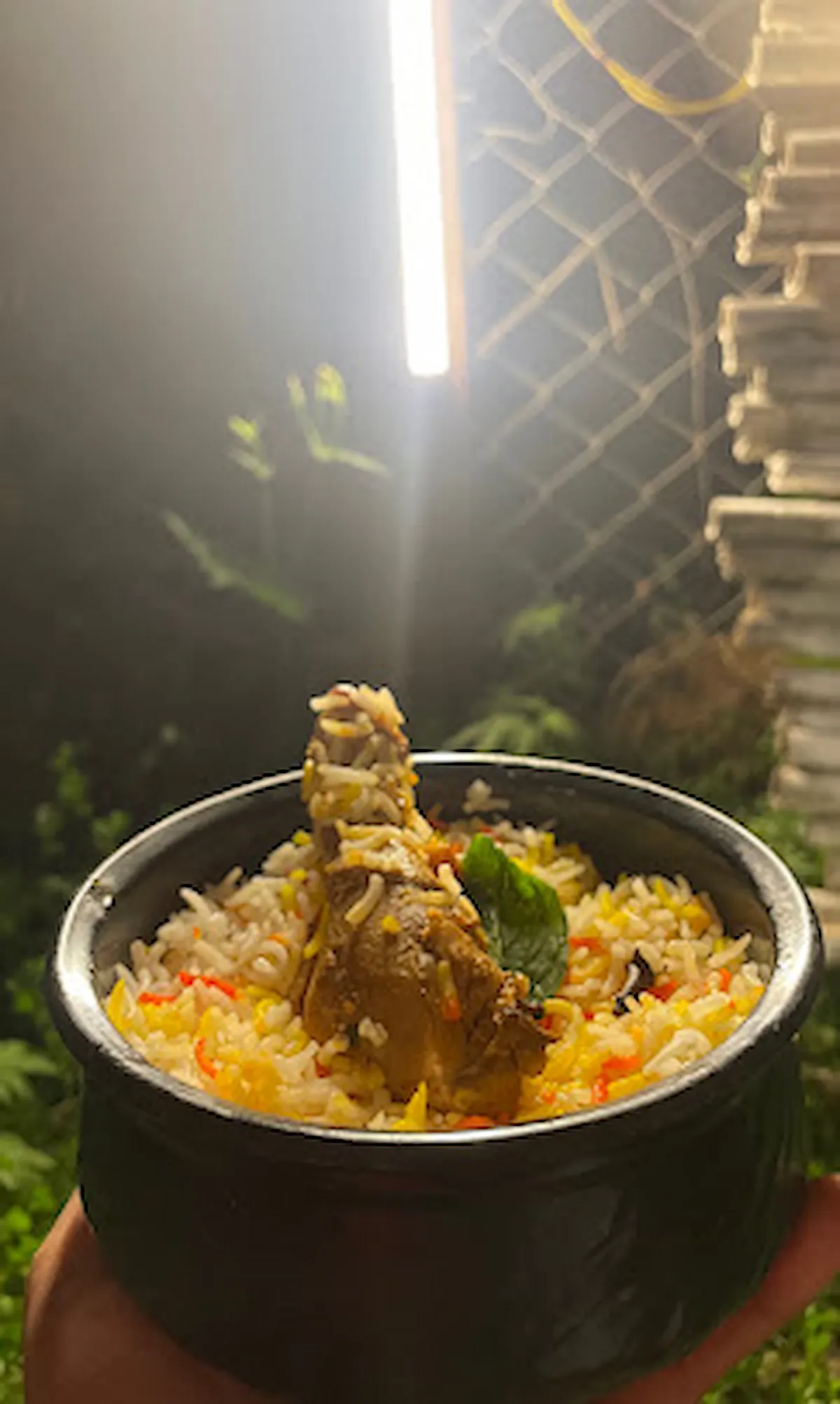 Chicken Biryani