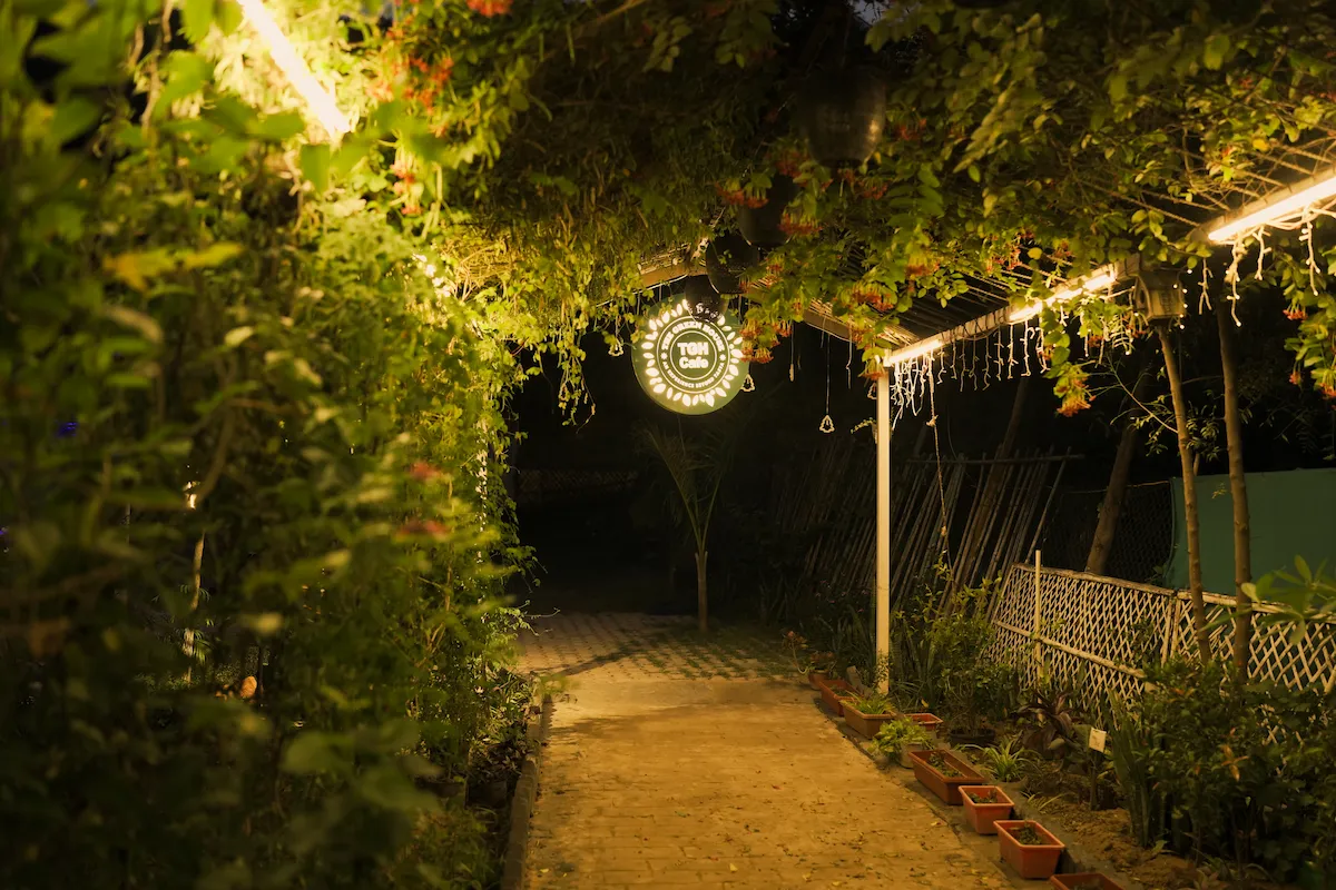 Make Your Next Special Occasion Feel A Little More                                     Special
